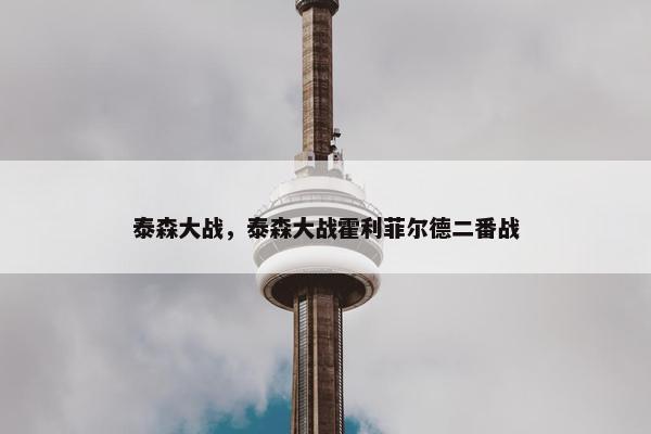泰森大战，泰森大战霍利菲尔德二番战
