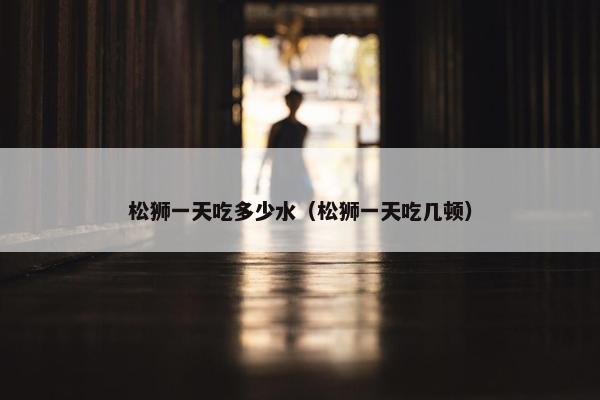 松狮一天吃多少水（松狮一天吃几顿）