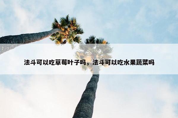 法斗可以吃草莓叶子吗，法斗可以吃水果蔬菜吗