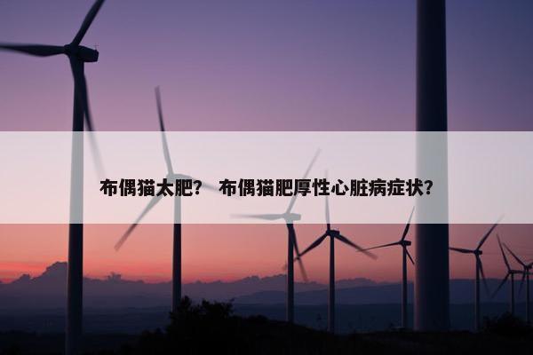 布偶猫太肥？ 布偶猫肥厚性心脏病症状？