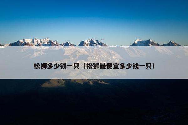 松狮多少钱一只（松狮最便宜多少钱一只）