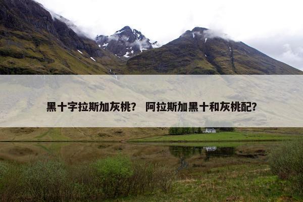 黑十字拉斯加灰桃？ 阿拉斯加黑十和灰桃配？