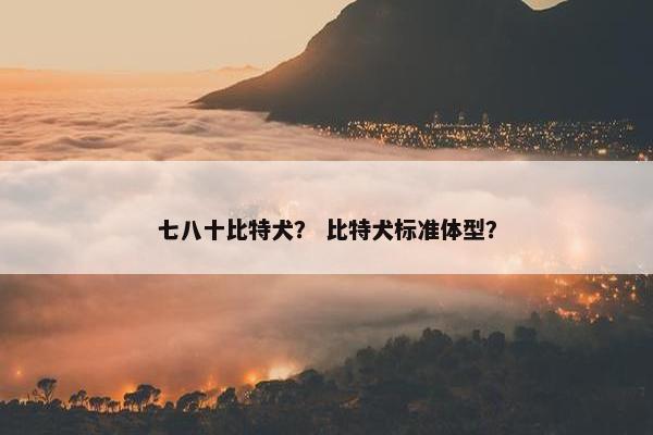 七八十比特犬? 比特犬标准体型?