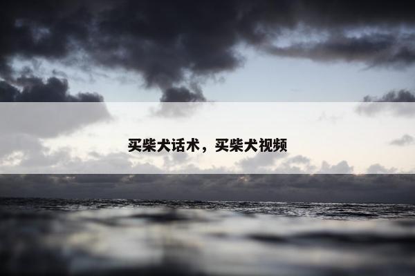 买柴犬话术，买柴犬视频