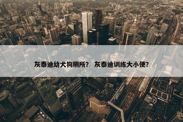 灰泰迪幼犬狗厕所？ 灰泰迪训练大小便？