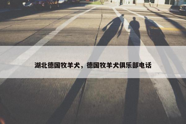 湖北德国牧羊犬，德国牧羊犬俱乐部电话