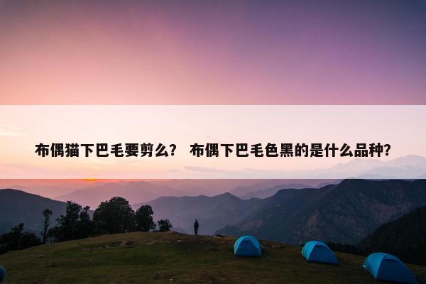 布偶猫 第8页