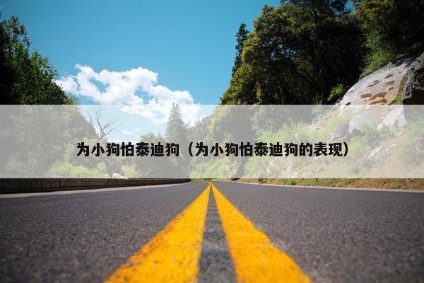 为小狗怕泰迪狗（为小狗怕泰迪狗的表现）