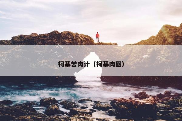 柯基苦肉计（柯基肉图）