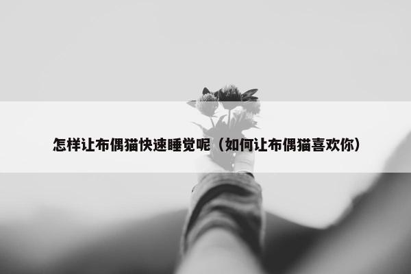 怎样让布偶猫快速睡觉呢（如何让布偶猫喜欢你）