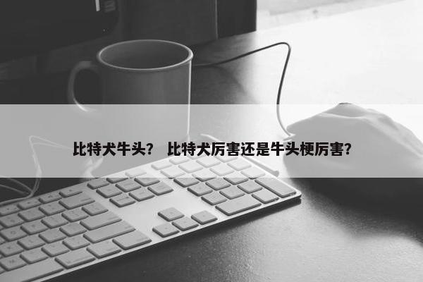 比特犬牛头？ 比特犬厉害还是牛头梗厉害？