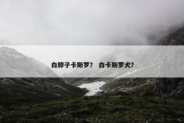 白脖子卡斯罗? 白卡斯罗犬?