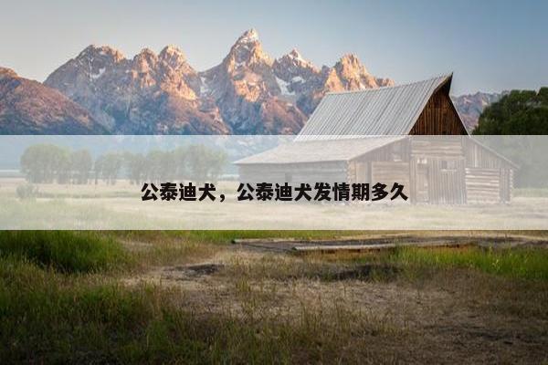 泰迪 第18页
