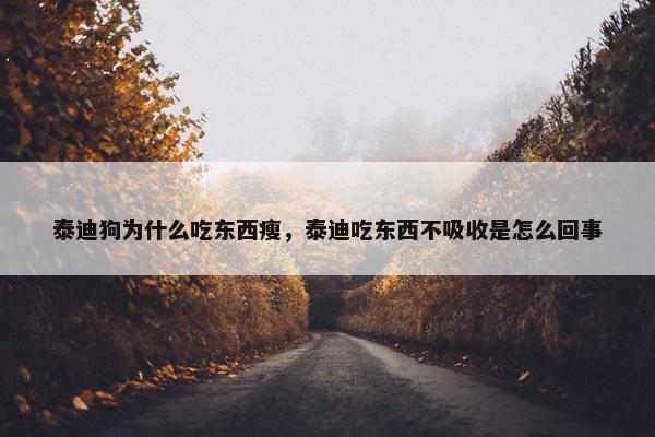 泰迪狗为什么吃东西瘦，泰迪吃东西不吸收是怎么回事