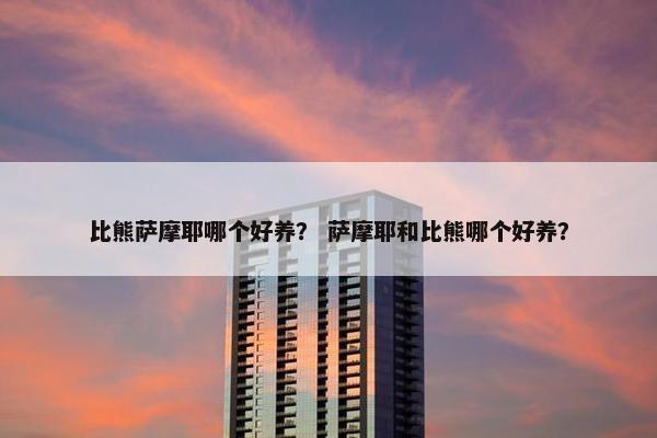 比熊萨摩耶哪个好养? 萨摩耶和比熊哪个好养?