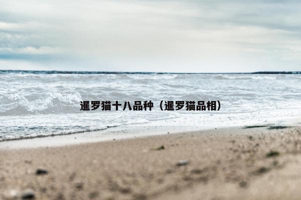 暹罗猫十八品种（暹罗猫品相）