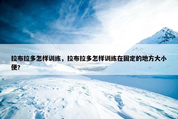 拉布拉多怎样训练,拉布拉多怎样训练在固定的地方大小便?