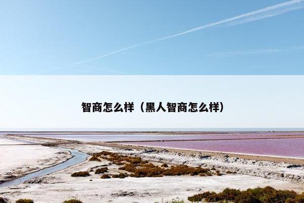 智力