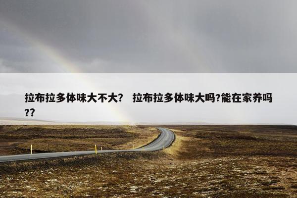 拉布拉多体味大不大? 拉布拉多体味大吗?能在家养吗??