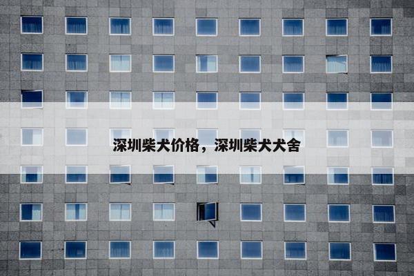 深圳柴犬价格，深圳柴犬犬舍