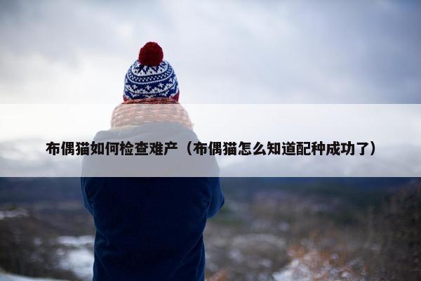 布偶猫如何检查难产（布偶猫怎么知道配种成功了）