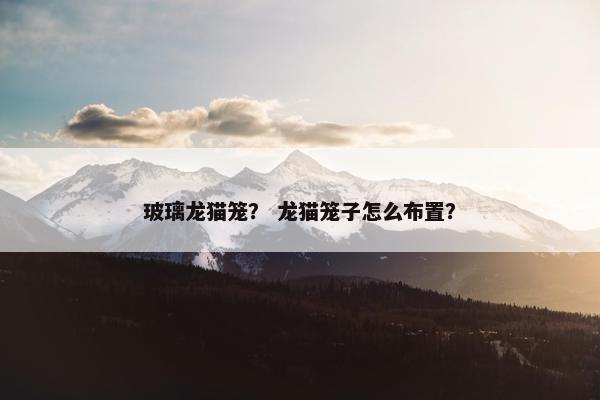 玻璃龙猫笼？ 龙猫笼子怎么布置？