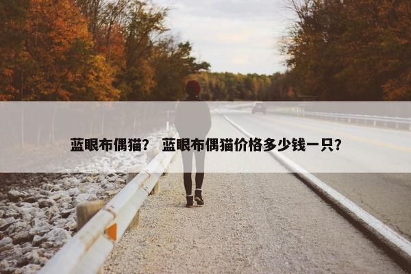 蓝眼布偶猫？ 蓝眼布偶猫价格多少钱一只？