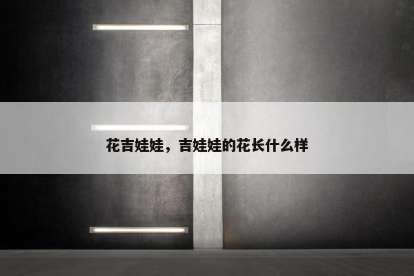 花吉娃娃，吉娃娃的花长什么样