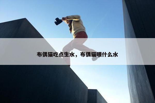 布偶猫吃点生水，布偶猫喂什么水