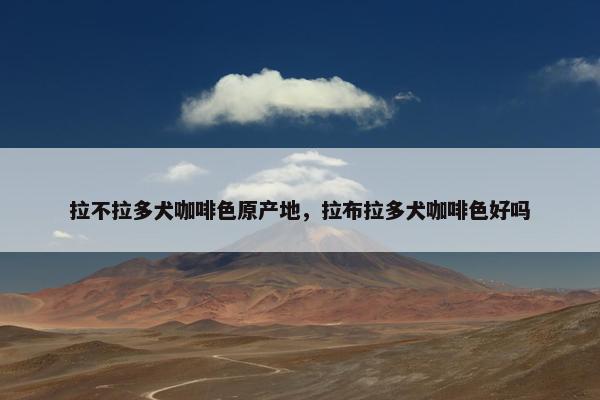 拉不拉多犬咖啡色原产地，拉布拉多犬咖啡色好吗