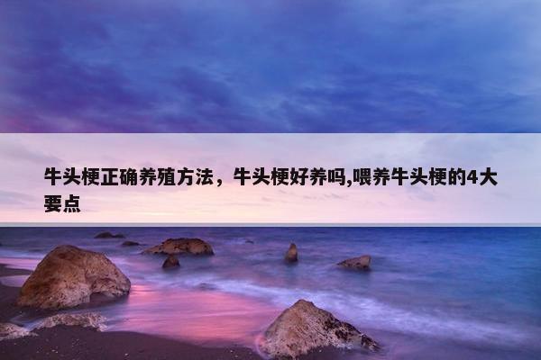 牛头梗正确养殖方法，牛头梗好养吗,喂养牛头梗的4大要点