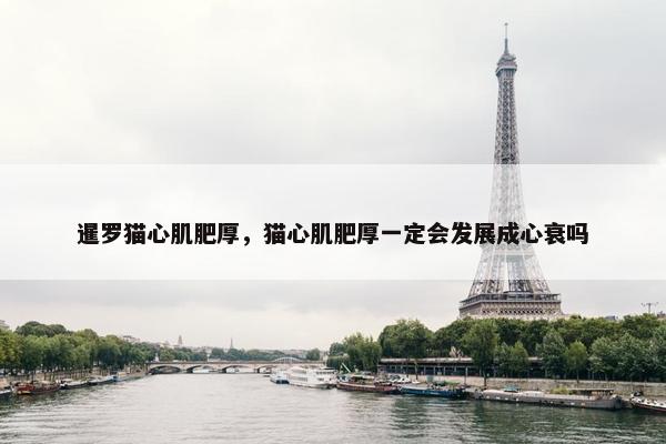 心肌