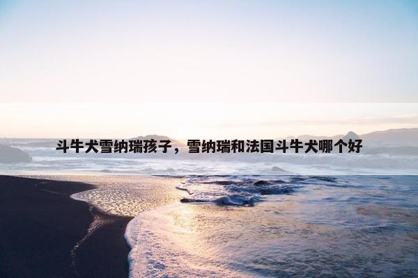 斗牛犬雪纳瑞孩子，雪纳瑞和法国斗牛犬哪个好