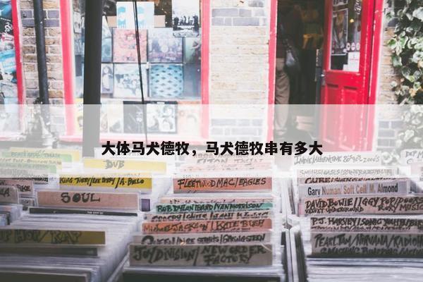 大体马犬德牧，马犬德牧串有多大