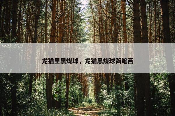 龙猫里黑煤球，龙猫黑煤球简笔画