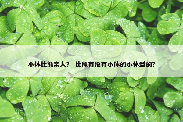 小体比熊亲人? 比熊有没有小体的小体型的?
