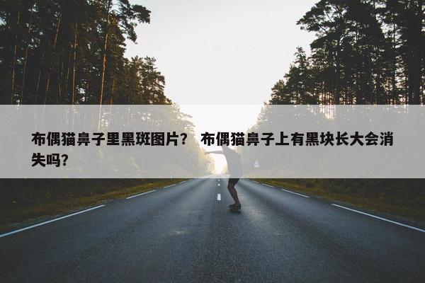 布偶猫鼻子里黑斑图片？ 布偶猫鼻子上有黑块长大会消失吗？