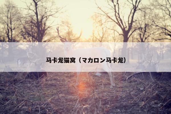 装扮