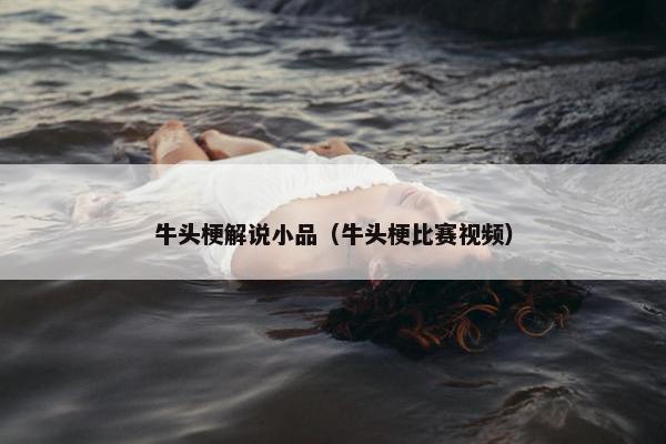 牛头梗解说小品(牛头梗比赛视频)