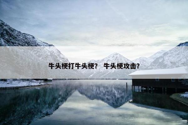 牛头梗打牛头梗? 牛头梗攻击?