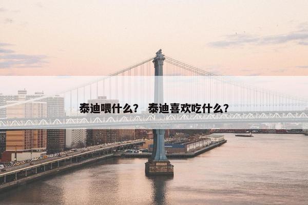 泰迪喂什么？ 泰迪喜欢吃什么？