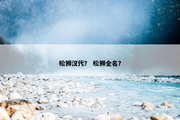 松狮汉代？ 松狮全名？