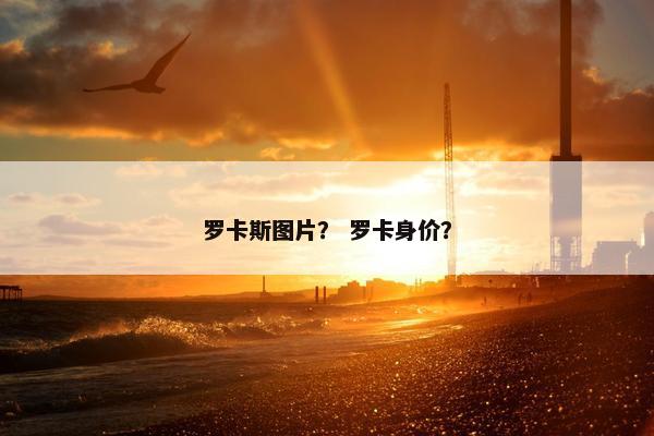 罗卡斯图片？ 罗卡身价？