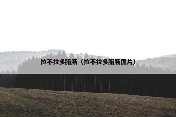 拉不拉多腊肠（拉不拉多腊肠图片）