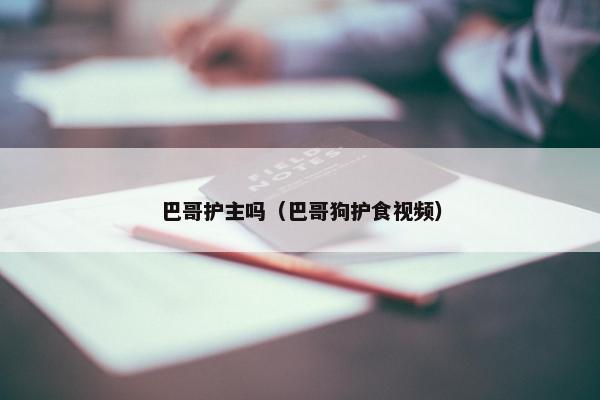 巴哥护主吗（巴哥狗护食视频）