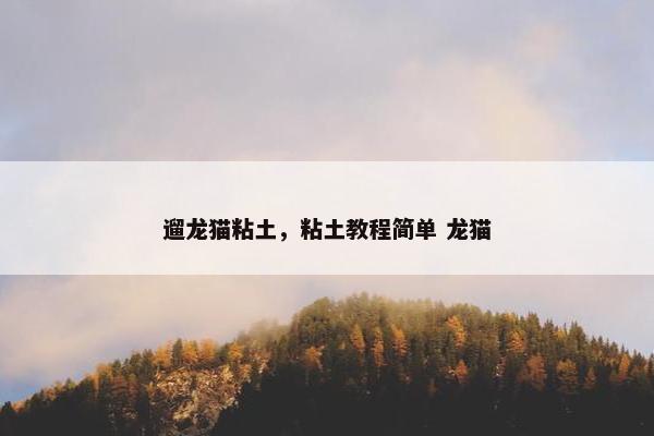 遛龙猫粘土，粘土教程简单 龙猫