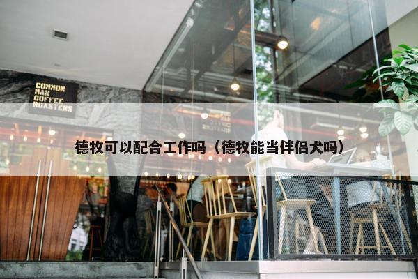 德牧可以配合工作吗(德牧能当伴侣犬吗)