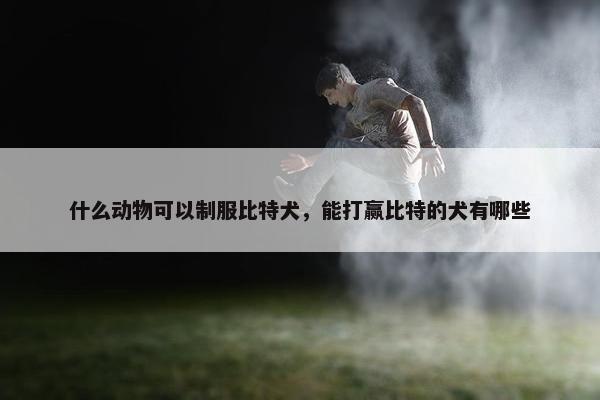 什么动物可以制服比特犬，能打赢比特的犬有哪些
