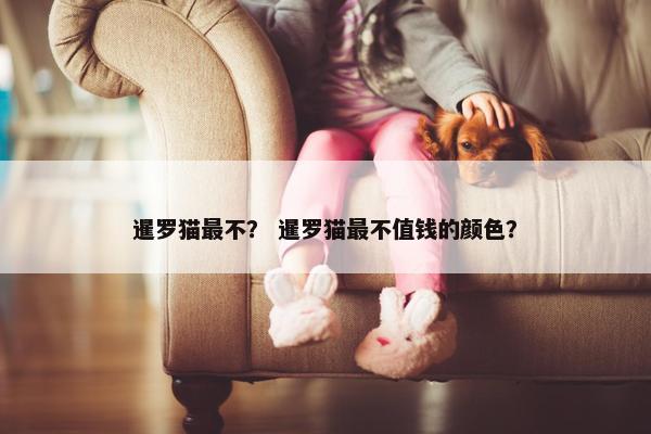 暹罗猫最不？ 暹罗猫最不值钱的颜色？