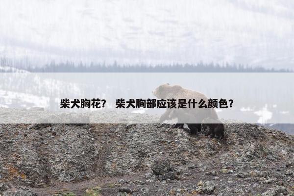 柴犬胸花？ 柴犬胸部应该是什么颜色？